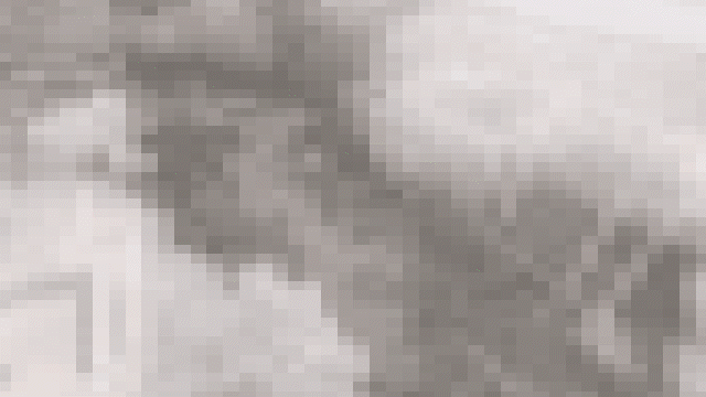 Portfolio Image 38